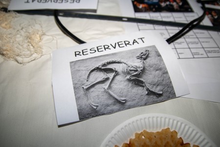 Bild från "ZØK's Årliga"