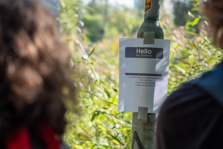 Bild från "Britt-Gunns äventyr"