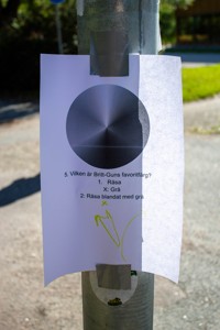 Bild från "Britt-Gunns äventyr"