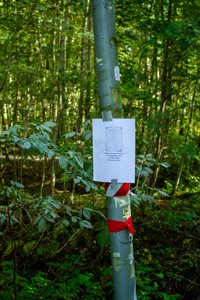 Bild från "Britt-Gunns äventyr"