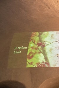 Bild från "Kandidatbal"