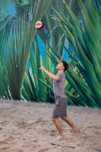 Bild från "Volleyboll CM"