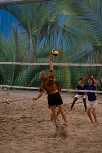 Bild från "Volleyboll CM"