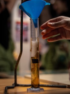 Bild från "Julmusthäfv"