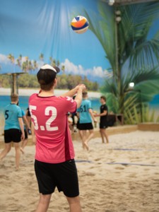 Bild från "Volleyboll CM"