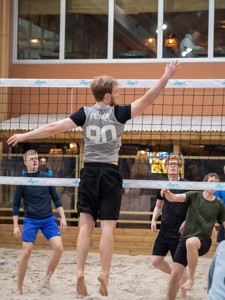 Bild från "Volleyboll CM"