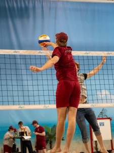 Bild från "Volleyboll CM"