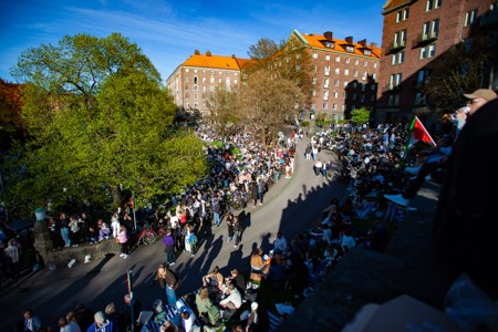 Bild från "Cortegen"