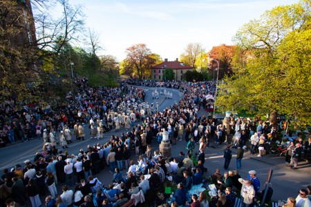 Bild från "Cortegen"