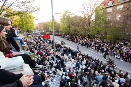 Bild från "Cortegen"