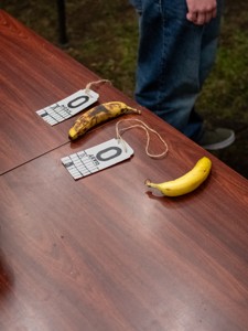 Bild från "Tredje Dagen"