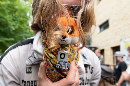 Bild från "Introhäfv"