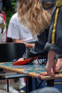 Bild från "Introhäfv"