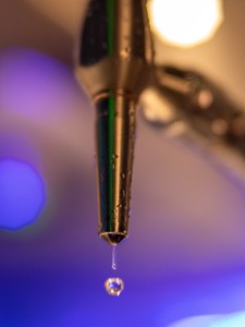 Bild från "Cowboys på Titanic - gasque"