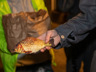 Bild från "Pubrunda LP3"