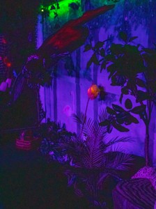 Bild från "Expedition gaZquen"