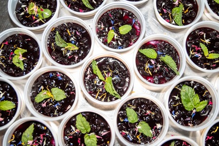 Bild från "Första Zittningen"