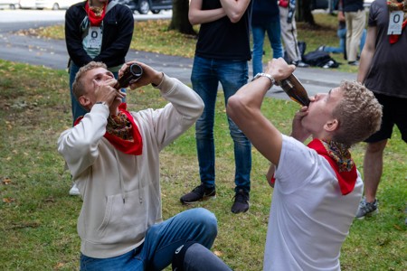 Bild från "Introhäfv"