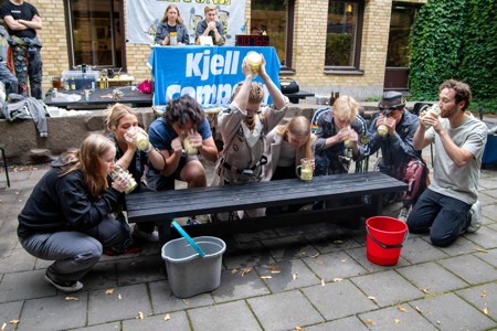 Bild från "Introhäfv"