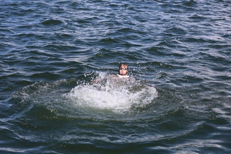 Bild från "Hajken"